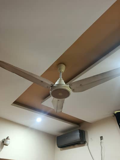 Ceiling fans