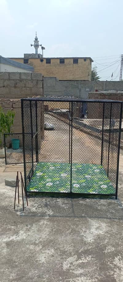 large size cage size 4by4