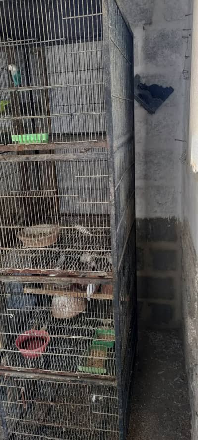 2 * 2.5 Steel Heavy Wires Cage best for love birds