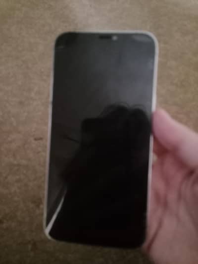 Apple iPhone 12 Pro Max