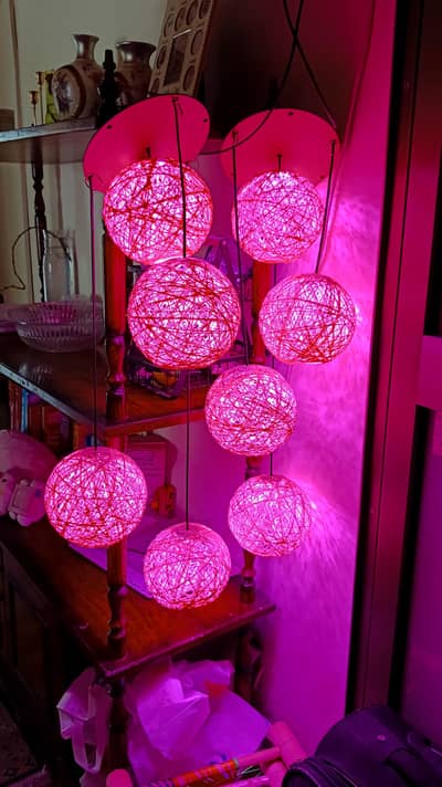 Pair of Neon pink lights