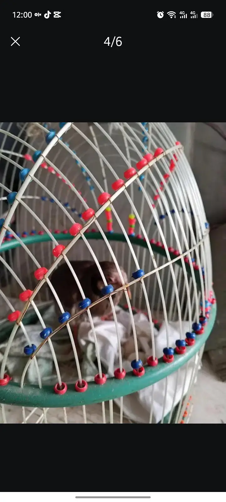 Ghar ka Pala Howa h