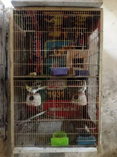 2 portion cage