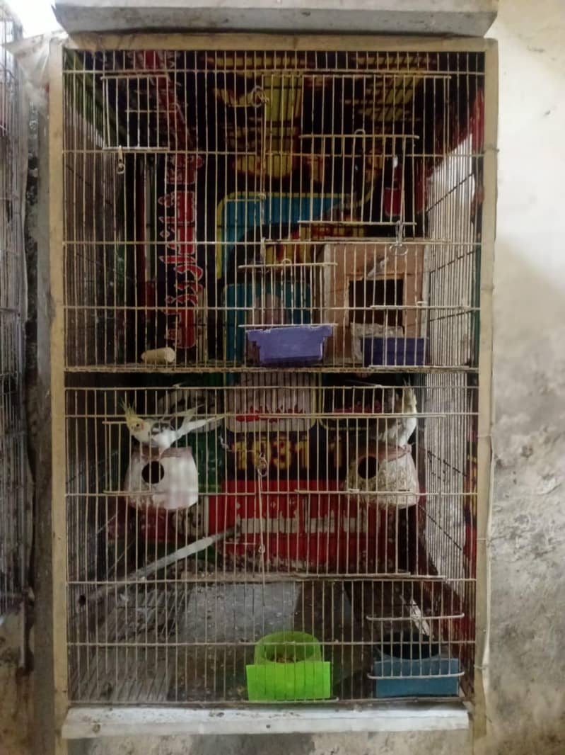 2 portion cage 0