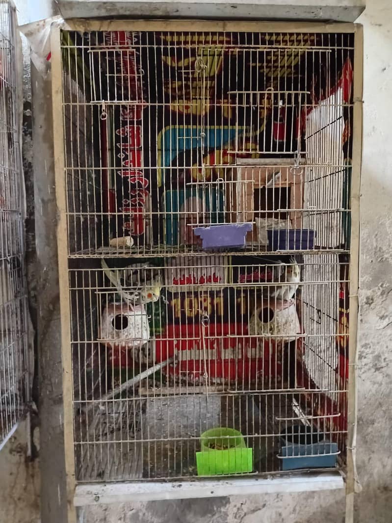 2 portion cage 1