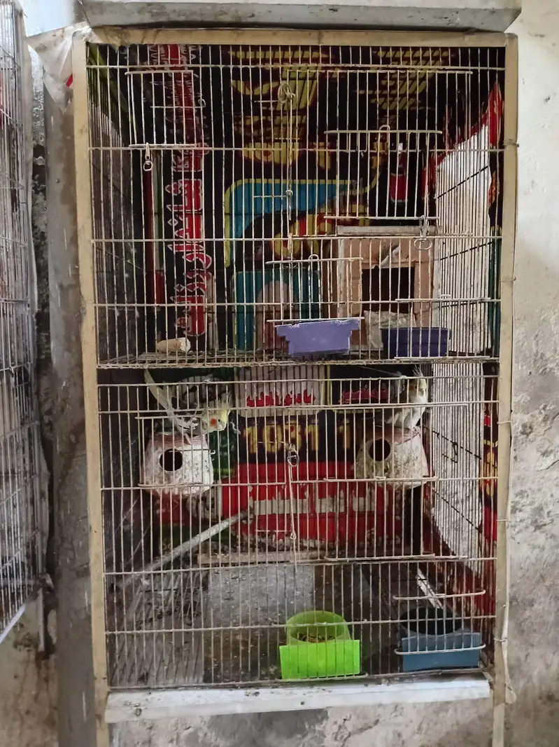 2 portion cage — photo 2