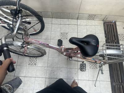 Japanese cycle