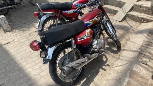 Honda 125 19/20