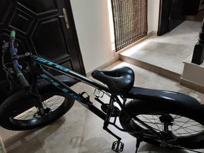 Fat tyre cycle