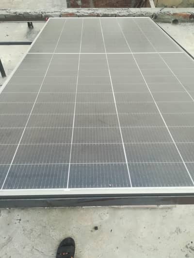 jinko 585watt N type A grade single glass