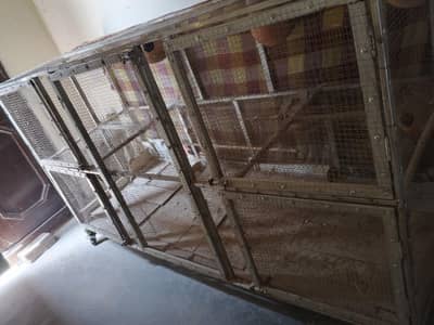 steel cage