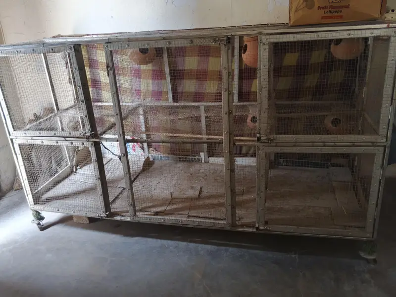 steel cage — photo 2