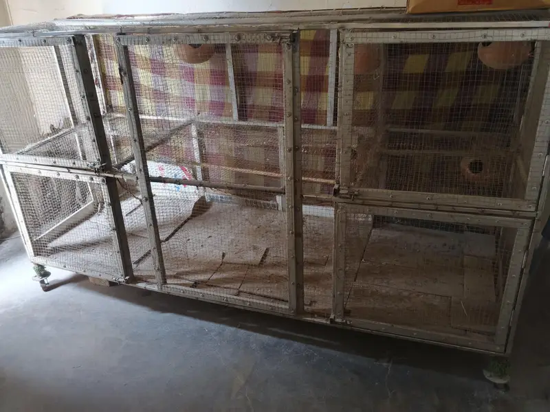 steel cage — photo 3