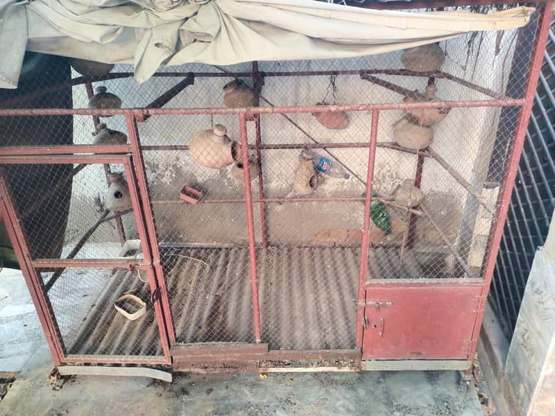 cages 1