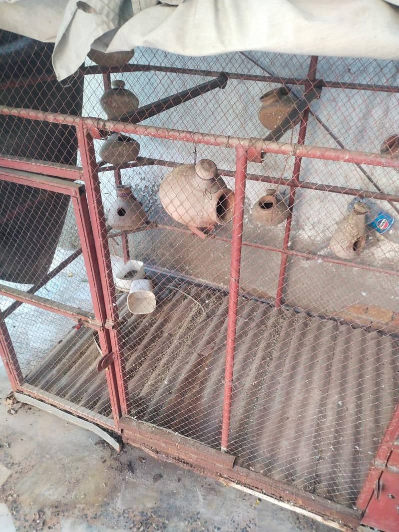 cages 2