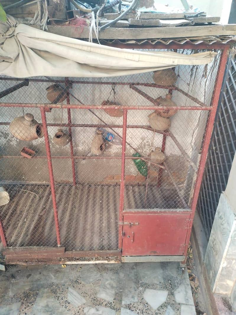 cages 3