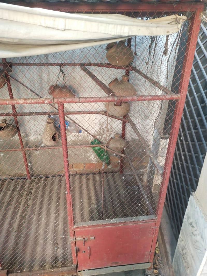 cages 4