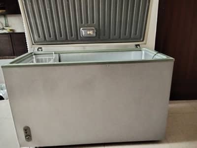 Brand new freezer in full size