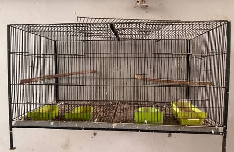 Pareot cage pinjra