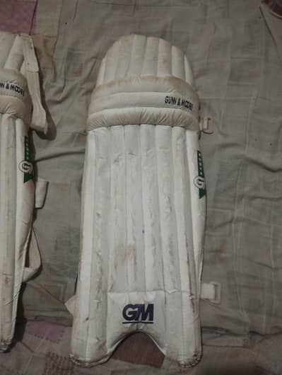 GM pads