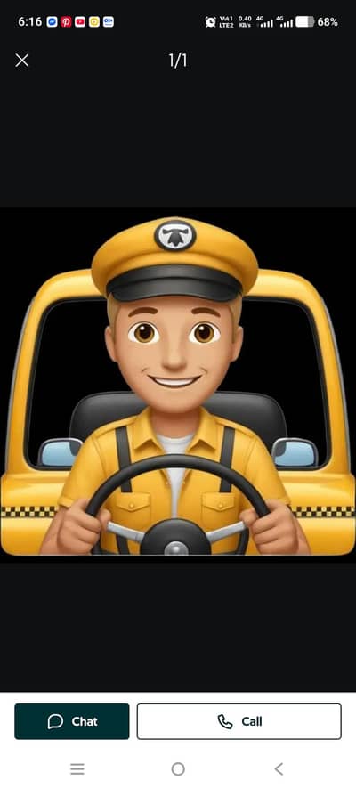 professional driver helper
