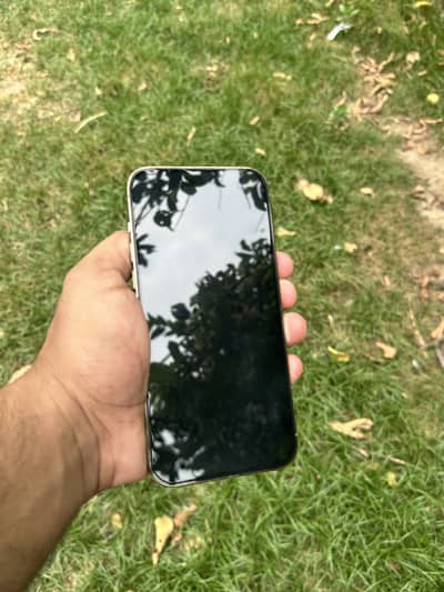 Apple iPhone 14 Pro Max (256 GB)