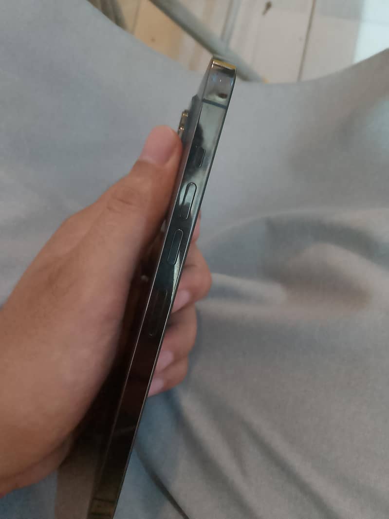 iphone 13 pro max 2