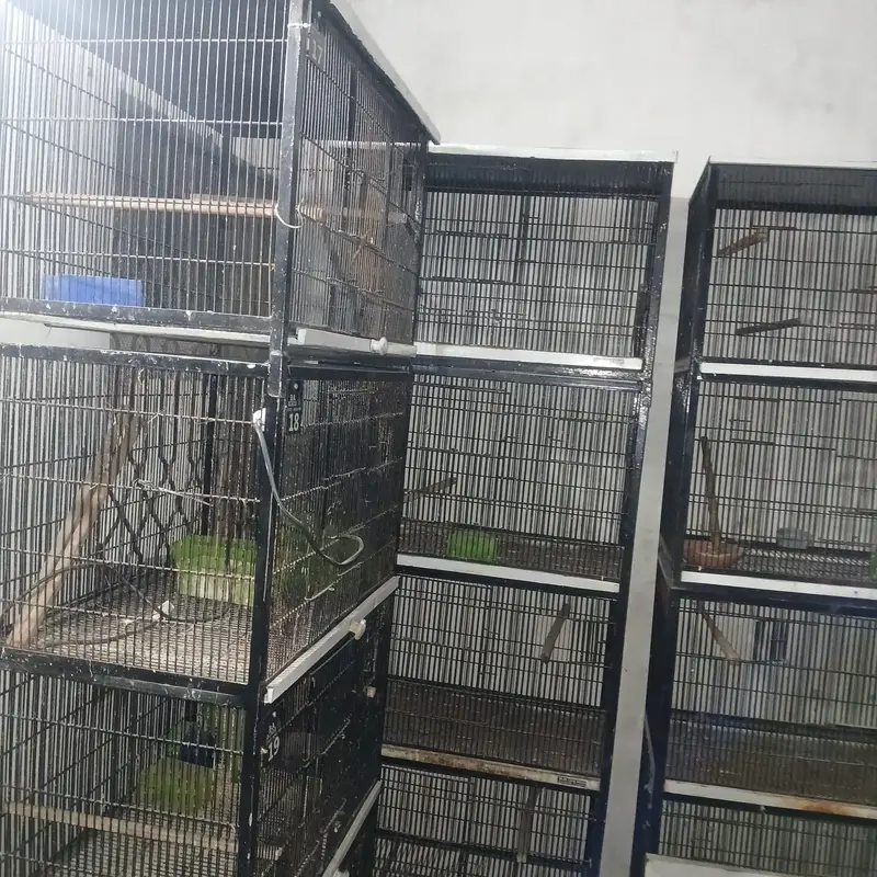 iron cage | Hens cage | birds cage | Pinjra | 4 portion cage for sale — photo 2