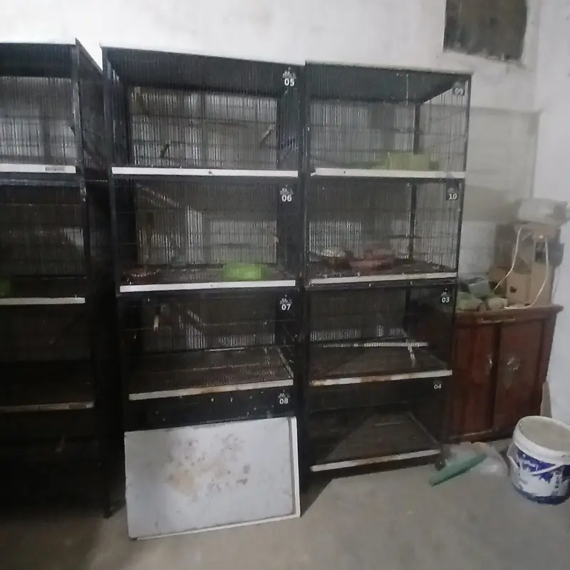 iron cage | Hens cage | birds cage | Pinjra | 4 portion cage for sale — photo 3