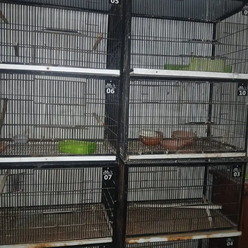 iron cage | Hens cage | birds cage | Pinjra | 4 portion cage for sale — photo 7