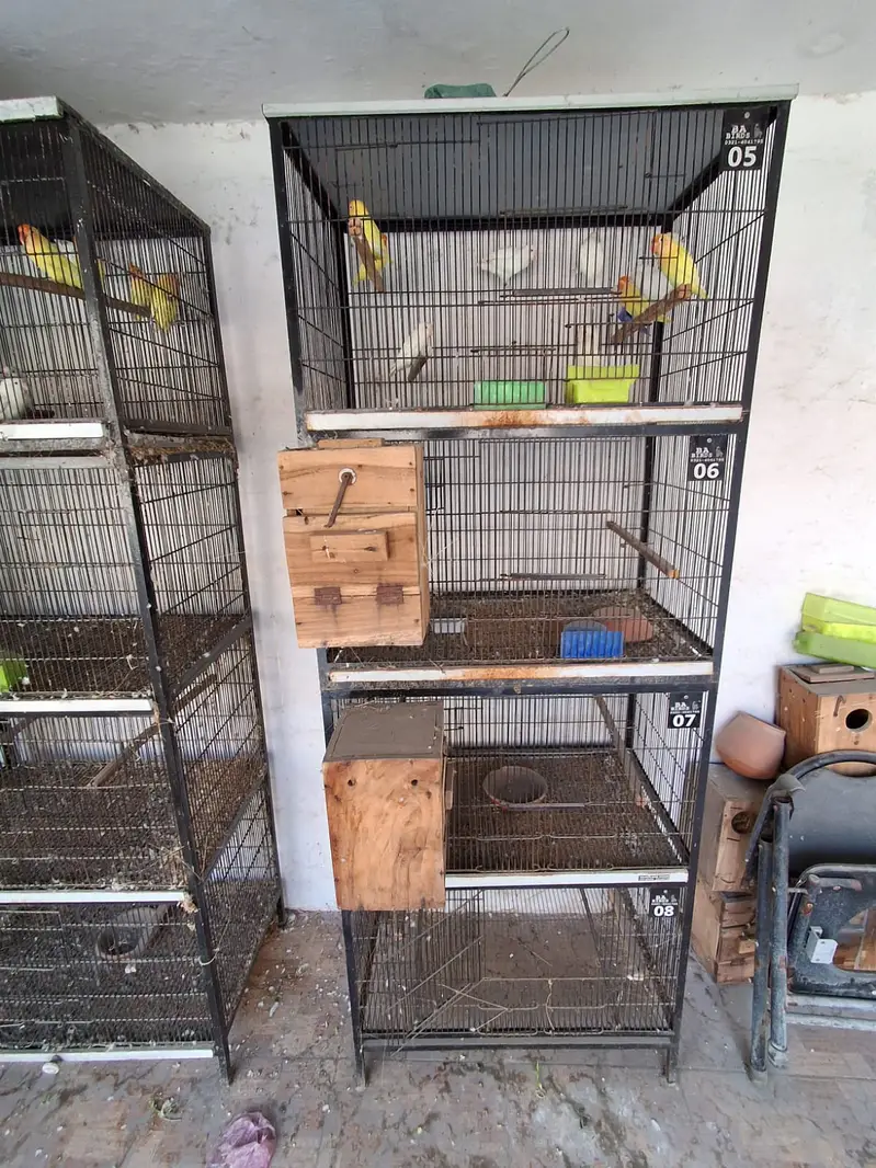 iron cage | Hens cage | birds cage | Pinjra | 4 portion cage for sale — photo 9