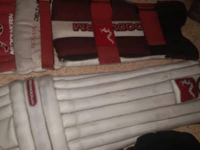 cricket pads