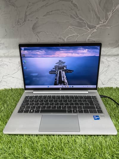 Hp Pro Book 640 G8 (i5 11th Gen) (8/256)