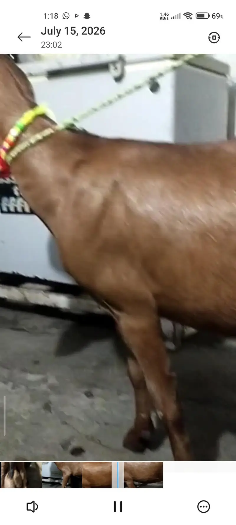 Bakri nagri Achi height me ha dhood bhi bht ACHA dyti ha — photo 3
