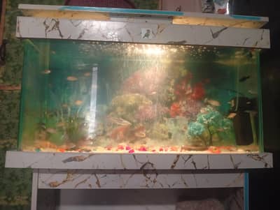 aquarium sale