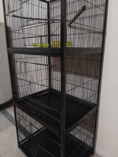 3 portion cage
