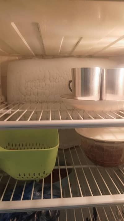 pel fridge large aize