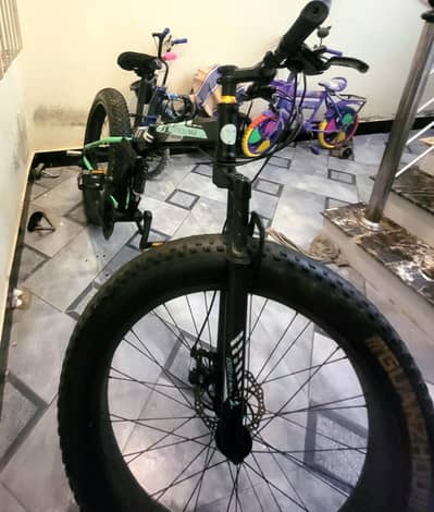 Imported Foldable Fat Bike Full Size