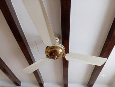 celling fan