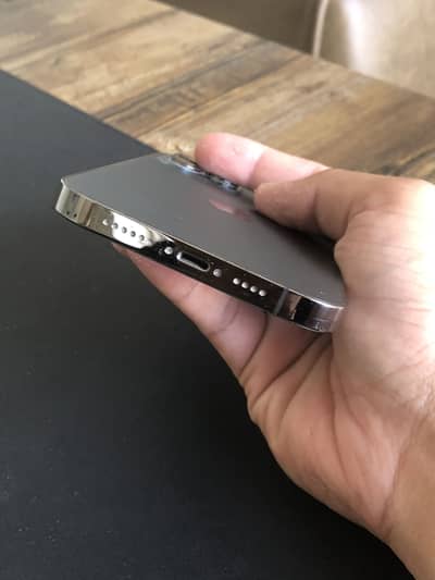 Apple iPhone 12 Pro Max