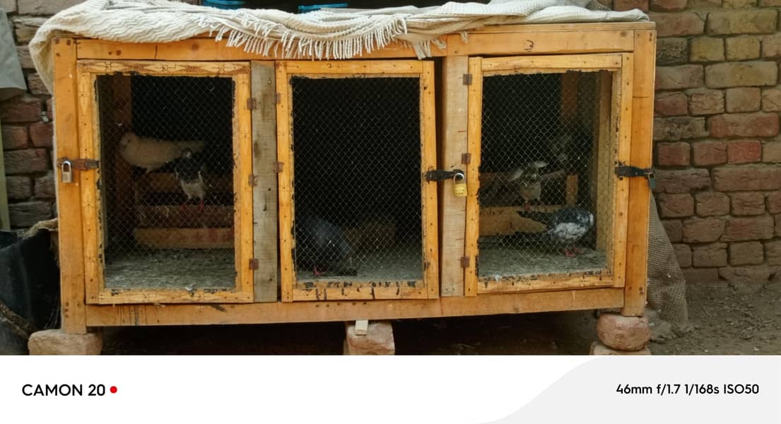 Hen cage 0