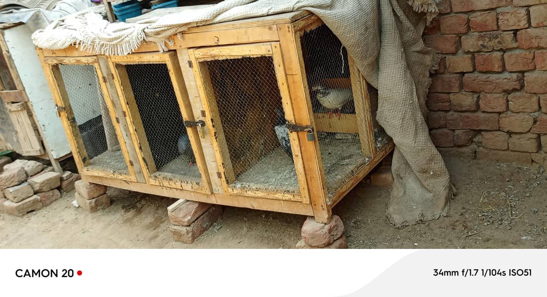 Hen cage 2