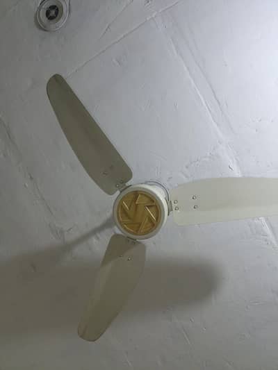 Royal Fan AC