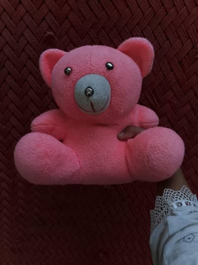 a very cute and soft teddy bear