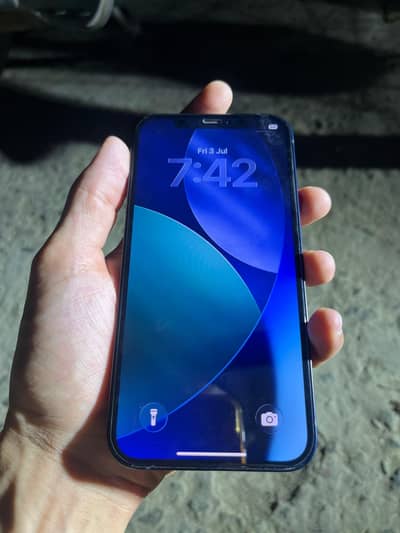 Apple iPhone 12