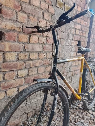 Phonex cycle
