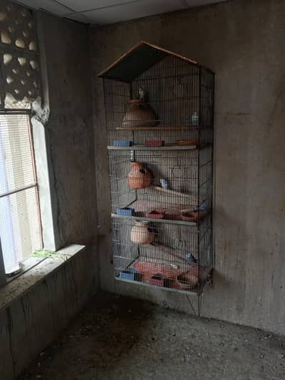 cage 3 portion