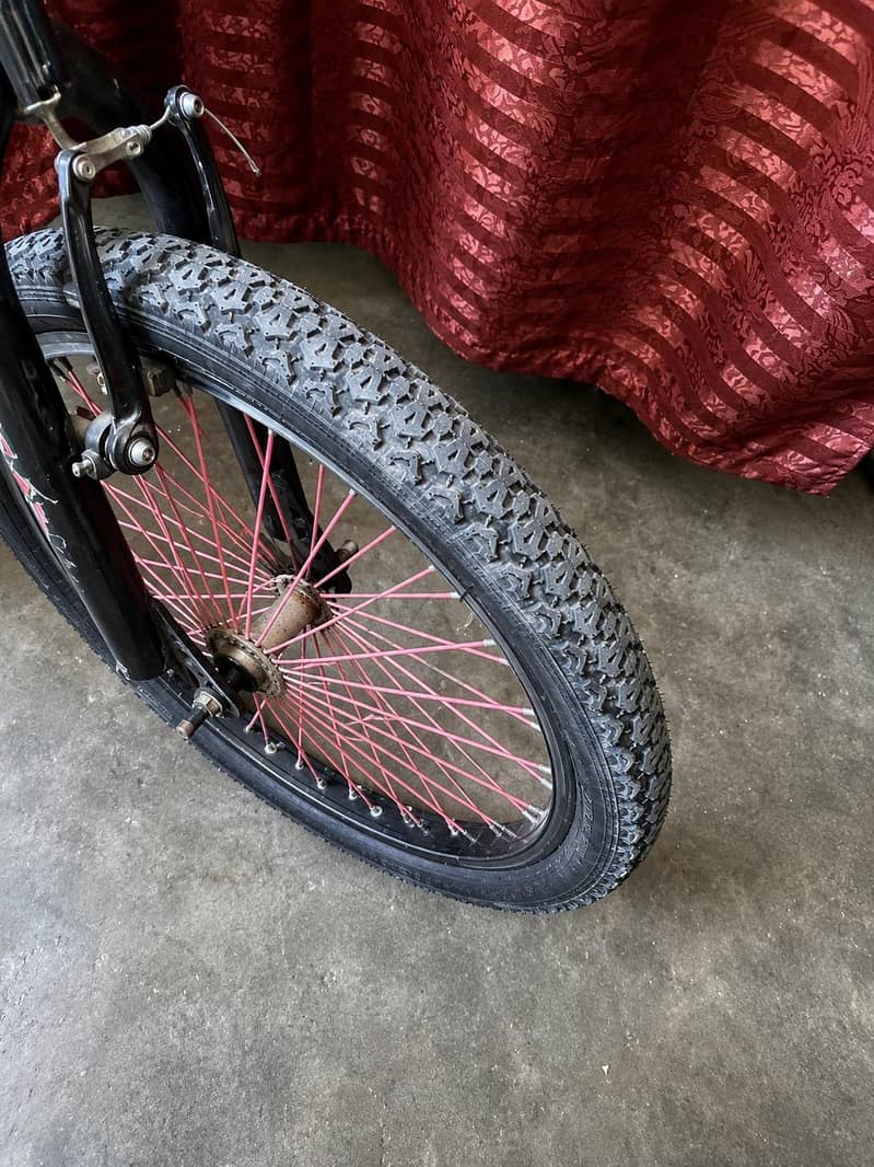 mountain bicycle 1