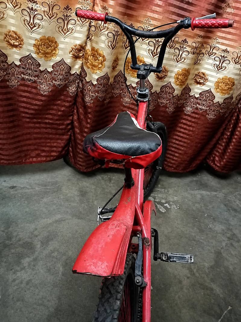 mountain bicycle 2