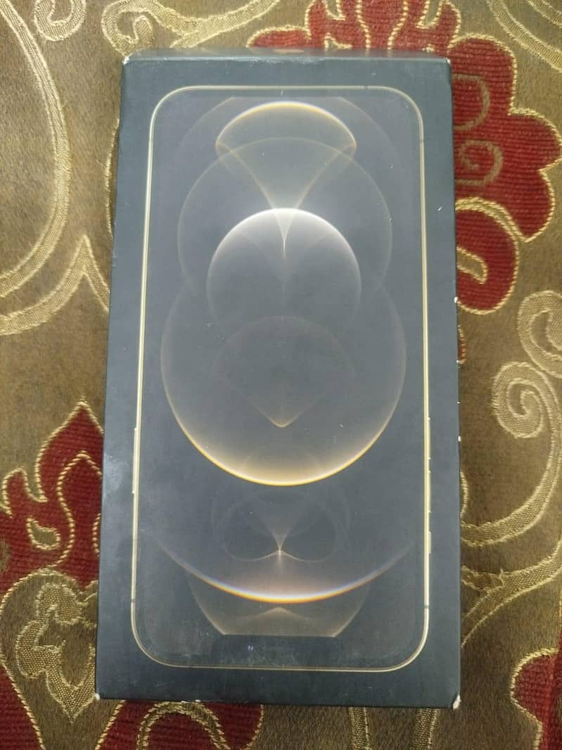 iPhone 12 pro max 12